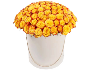 Флорида