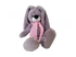 Игрушка Мишута