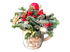 Северная сказка