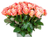 Розы поштучно