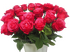 Селебрити
