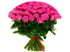 Мисс Бьюти